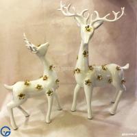 Ornament  Zbukurues