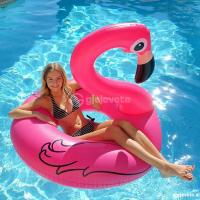 Komardare flamingo