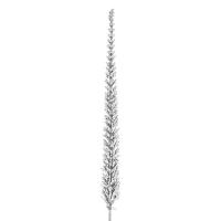 Dege Pishe Dekorative E Bardhe 40.5 Cm