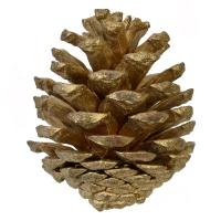 Boce Pishe Dekorative Gold 5 Cm 20 Cope