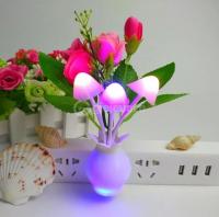 Drite LED 