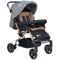 Karroce Gold Gri Per Bebe
