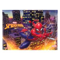 Dosje Plastike Spiderman Per Djem 33x24 Cm