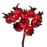 Dege Krishtlindjesh Dekorative Me 10 Shege Te Kuqe 12 Cm