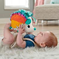 Fisher Price Cuddle N Snuggle Hedgehog