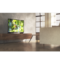 TV PHILIPS 43 43PFS6805/12