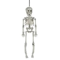 Skelet I bardhe per Halloween-it 40 cm