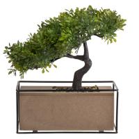 Vazo bonsai me bazë druri 21x11x28cm