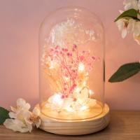 Kupolë qelqi dekorative me dritë LED dhe lule rozë të bardha 12x18cm