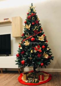 Peme Krishtlindjesh