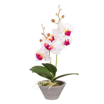 Lule Dekoruese Orkide E Bardhe Ne Vazo Plastike 32.5 CM