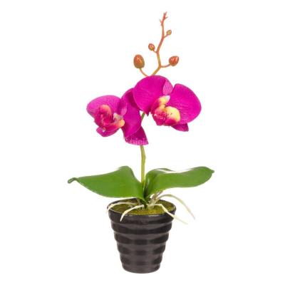 Lule Dekoruese Orkide Lejla Ne Vazo Plastike 25 CM