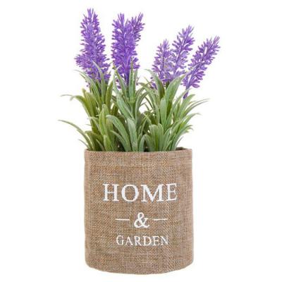 Lule Dekoruese Lavander Ne Vazo Me Dizajn Home & Garden 11x25 Cm