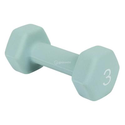 Gira ngjyre mente per palester 3kg