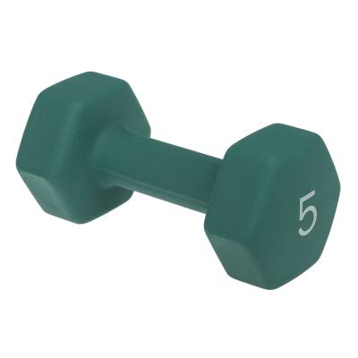 Pesha per ushtrime fizike, ngjyrë jeshile pastel 5 kg